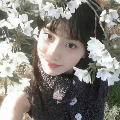 金装律师第一季
